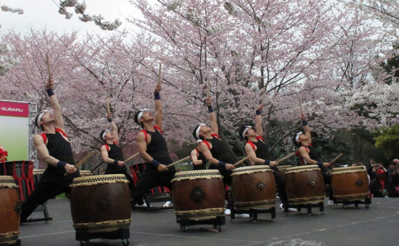 Philly’s Cherry Blossom Festival Kicks Off This Weekend