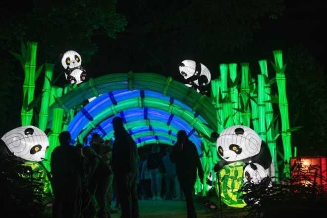 panda chinese lantern festival