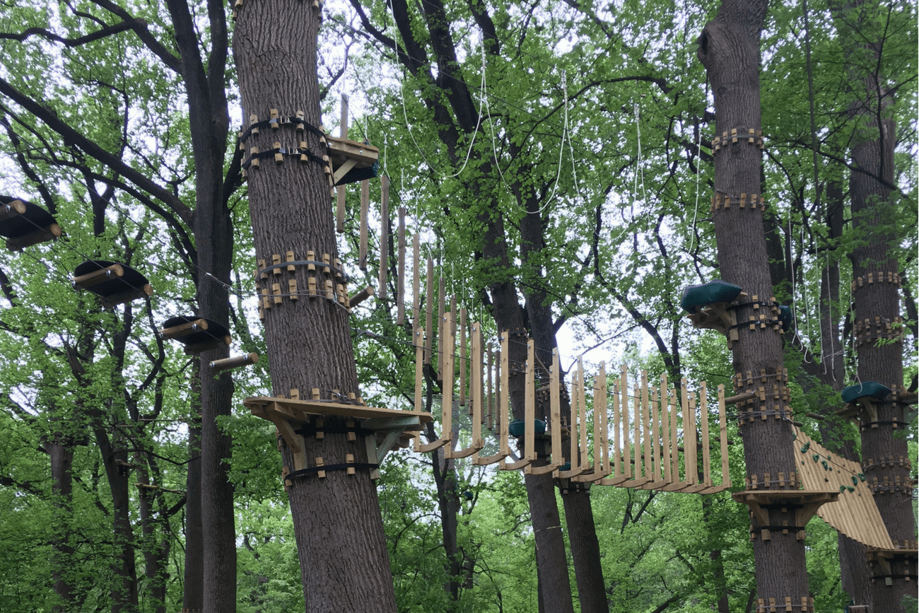Treetop Quest Philly