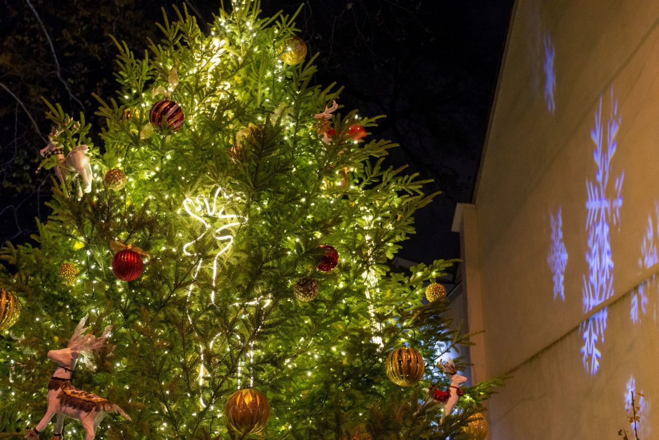 Where to Find (Socially Distanced) Holiday Lights in Philly