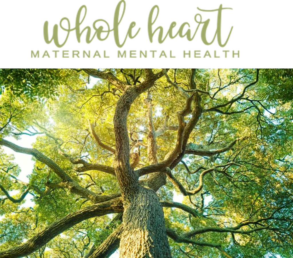 WholeHeartMaternalMentalHealthPhiladelphiaFamily_108166918_logo