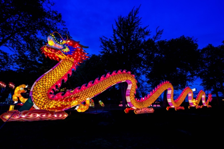 dragon chinese lantern festival