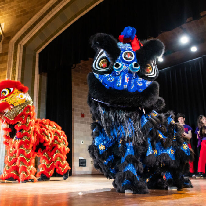 culture fest penn museum lunar new year 2025