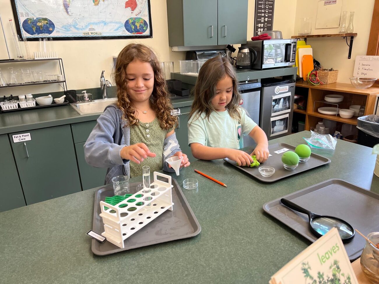 Gladwyne Montessori students doing a science experiment