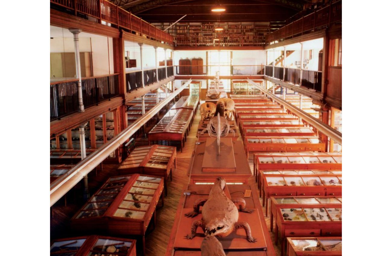 The Wagner Free Institute of Science makes our list as an off-beat Philly museum you've got to visit.