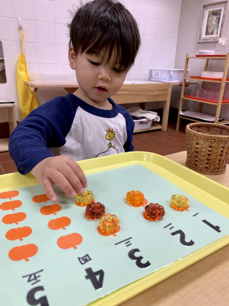 Y Pumpkin Counting