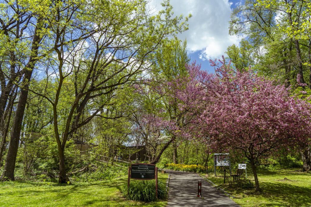 Pennypack Environmental Center Playground
