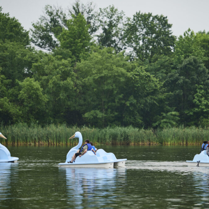 Philly residents paddling swan boats on a river