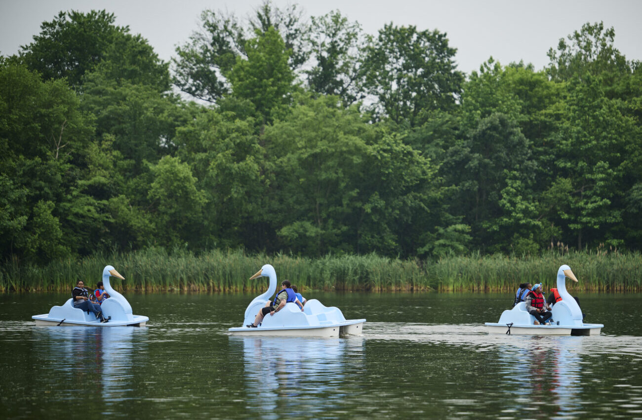 Philly residents paddling swan boats on a river
