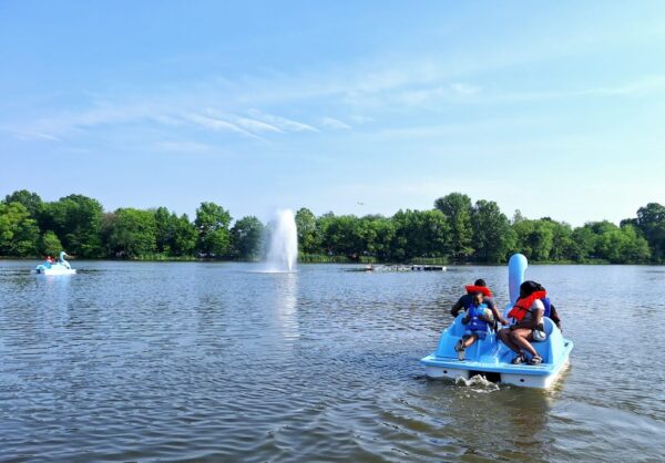 Community Paddle Boating at FDR Park