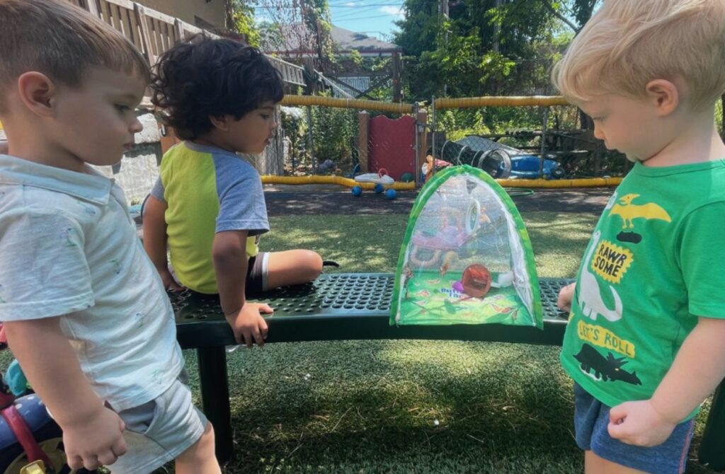 Three little boys look at a butterfly terrarium outside of their pre-K classroom. 