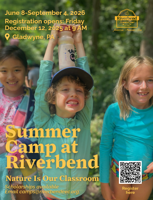 Camp Flyer PNG