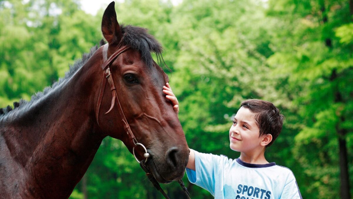 A young boy pets a dark brown horse.