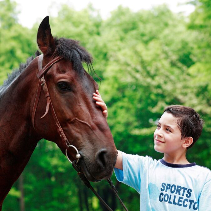 A young boy pets a dark brown horse.