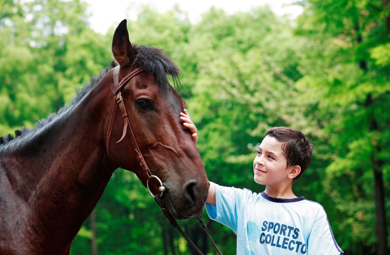 A young boy pets a dark brown horse.