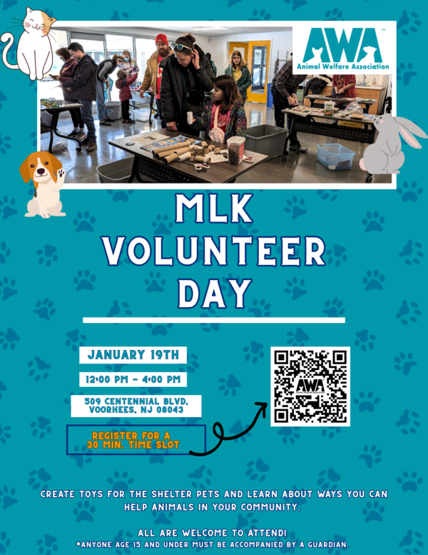 MLK Volunteer Day with Animal Welfare Association