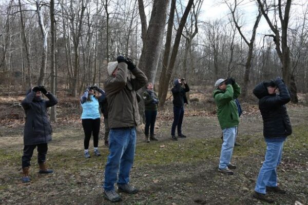 Bird Walks at Newlin Grist Mill