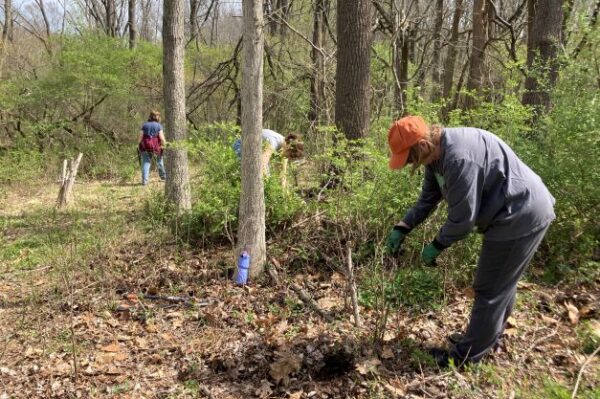 Habitat Stewards at Newlin Grist Mill