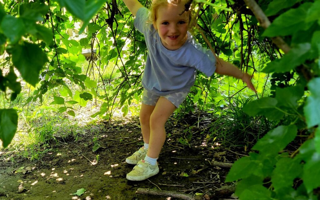 friends-school-haverford