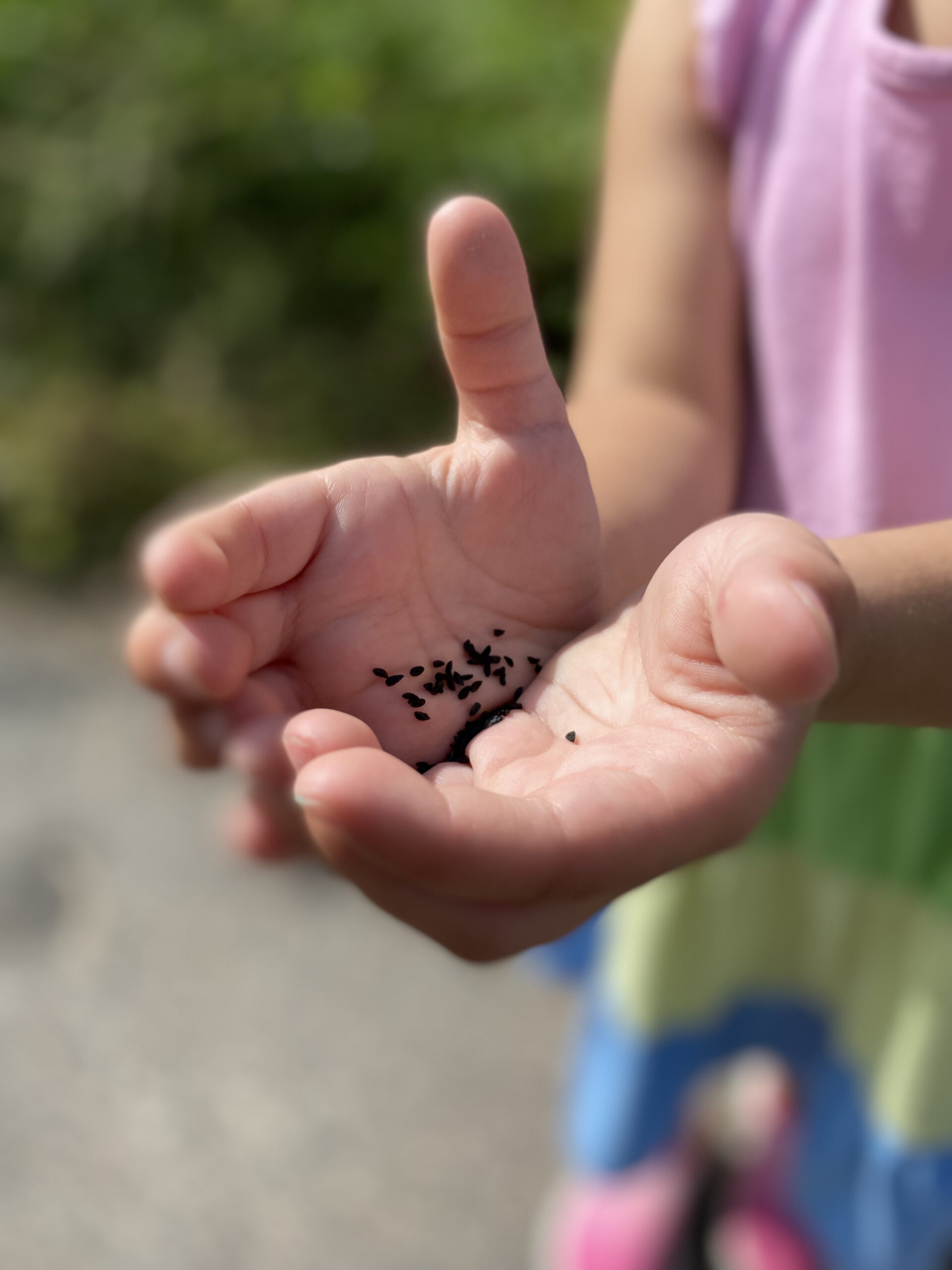Leaf and Learn