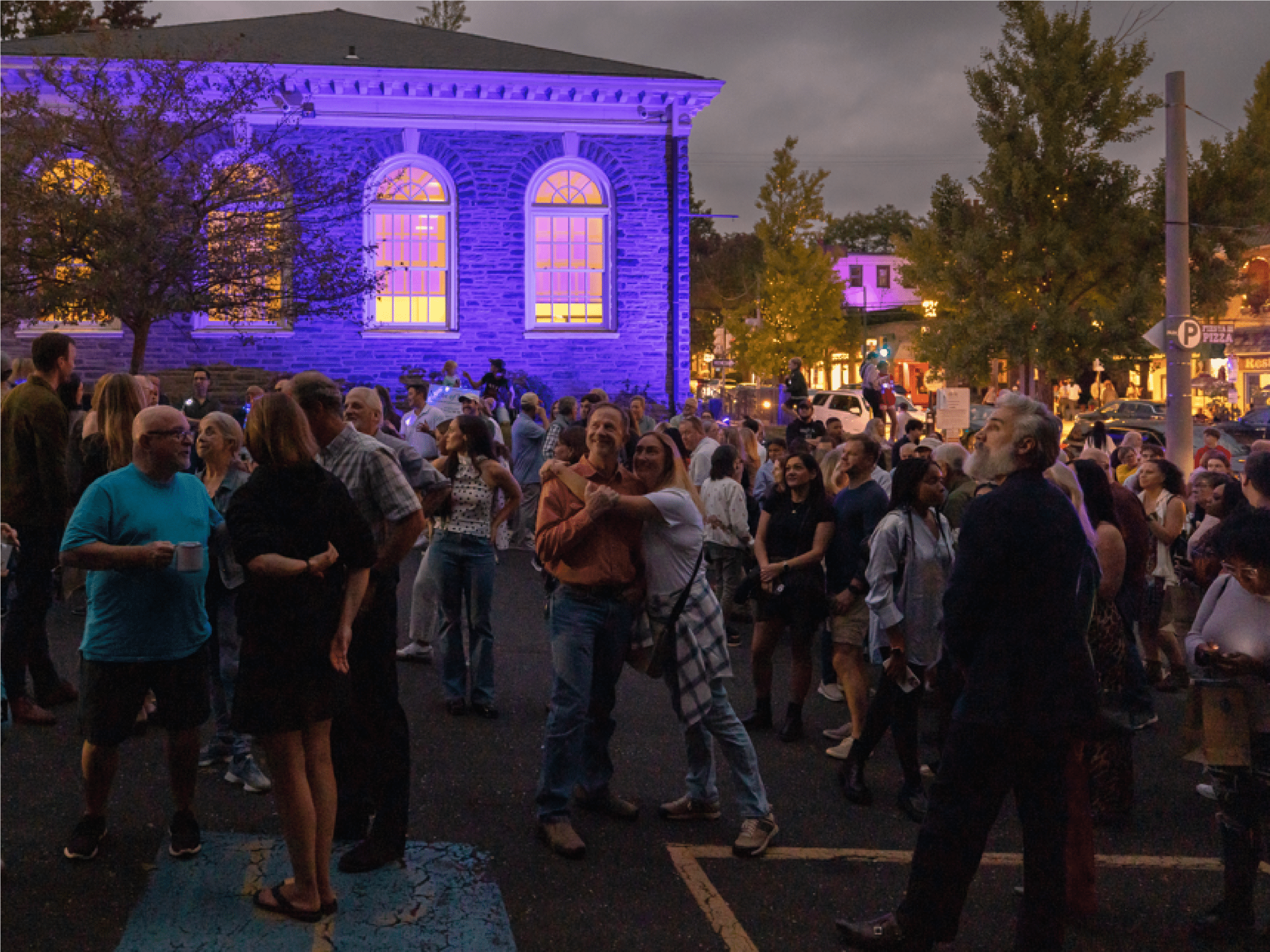 chestnut-hill-conservancy-night-of-lights