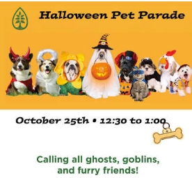 Chestnut Hill Halloween Pet Parade